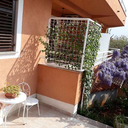 Apartmani Lina ウマグ エクステリア 写真
